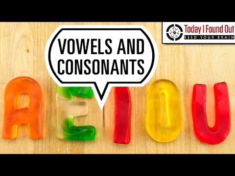 What Makes a Vowel a Vowel and a Consonant a Consonant
