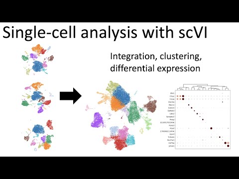 Single-cell analysis with scVI machine-learning toolkit