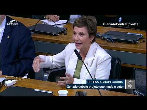 Debatedores divergem sobre novas regras para fiscalização agropecuária