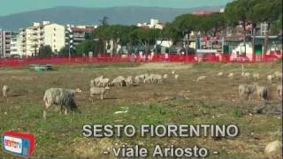 preview picture of video 'Sesto Fiorentino - INTERVALLO'