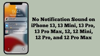 No Notification Sound on iPhone 13, 13 Pro, 13 Pro Max, 12, 12 Pro, 12 Pro Max on iOS 16