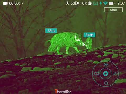 ThermTec Wild 650D- die ultimative Wärmebildkamera zur Jagd. Sauen perfekt ansprechen kein Problem😊