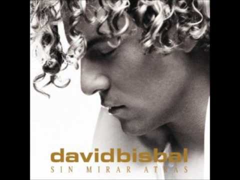 David Bisbal - Mi princesa acoustico.wmv