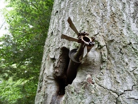WW2 Relikte Teil 33 : Panzerfaust im Baum eingewachsen ( WK2, Sondeln, Metal Detecting, Relics )