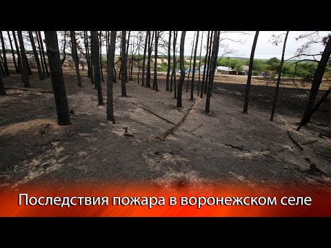 Погубивший ферму в воронежском селе пожар мог случиться из-за брошенного окурка