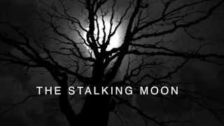 Anamorphic camera test for The Stalking Moon feature film