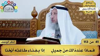 صورة 14 - شرح تائية الإلبيري - إن أضحكت الدنيا قليلا أبكت كثيرا - مفاتح الطلب - عثمان الخميس