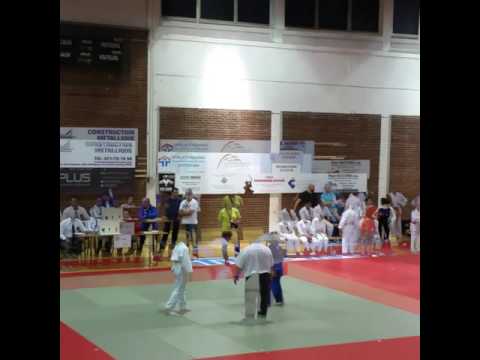 Alihan judo