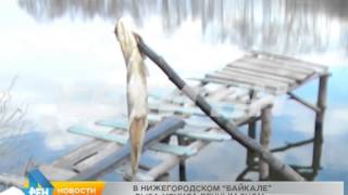 Озеро полянское нижний новгород рыбалка