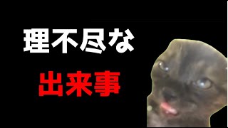 【猫ミーム】葬儀社にアルバイトとして勤めていたお話まとめその8