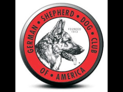 2015-10-16-20 GSDCA Sieger Show - Opening Ceremony