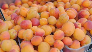 4K Close-up of Peaches For Sale at a Market