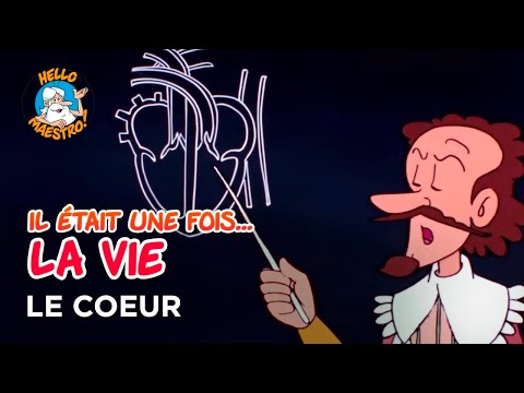 Il était une fois... la Vie 🌱- Le cœur ❤️