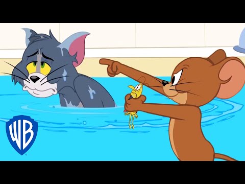 Tom & Jerry - Plural Nouns - Regular/Irregular