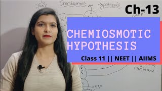Ch-13 Photosynthesis ||L-04 Chemiosmotic Hypothesis || Class 11 || NEET || AIIMS