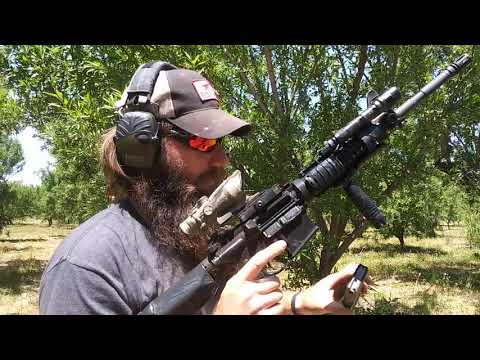 Colt LE6921 torture test! AR15 "gauntlet"