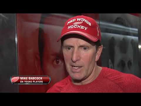 NHL  Dec.17/2013   Anaheim Ducks - Detroit Red Wings