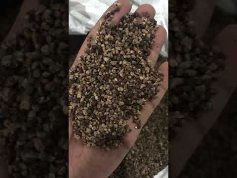 Large cardamom seeds // cardamom seeds // dana // elaichi go...