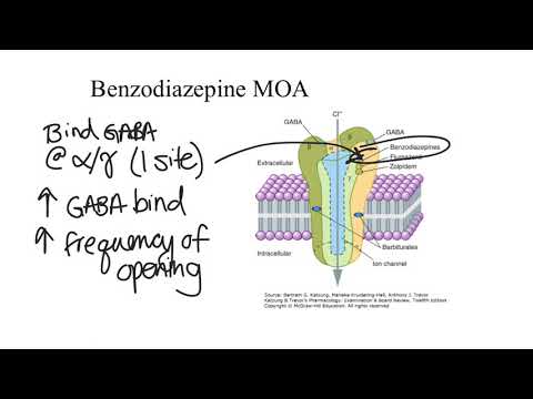 Anxiolytics & Sedative-Hypnotics