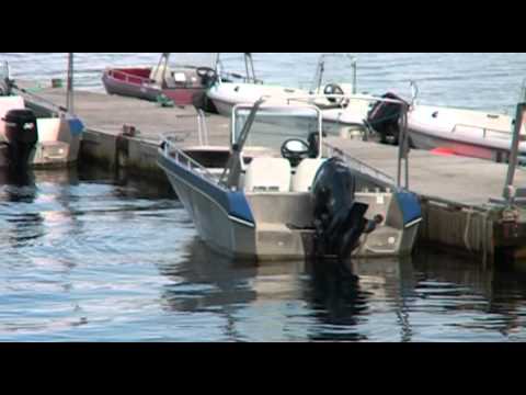 Din Tur - Foldvik Brygger