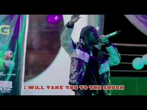 Song for my beautiful ladies out there title: MY LADY