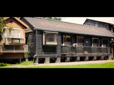 Günter Prange Teaser Deutsch