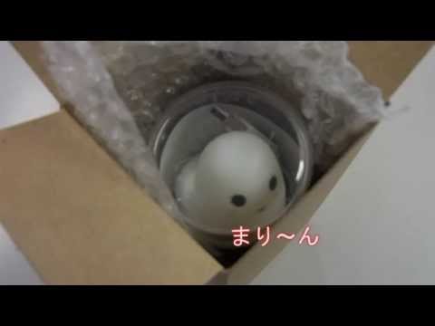 ホームエレクトロニクス開発学科 ココマリンが届いた　の巻