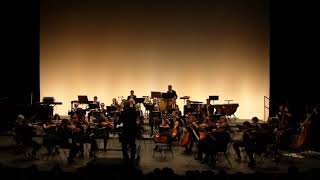 Hans Zimmer – Le Roi Lion (orchestre symphonique)