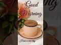 Good Morning Beautiful Shorts Good Morning Whatsapp Status Video Viral Video Hindi Song