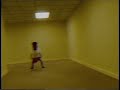 Quandale Dingle In The Backrooms Found Footage