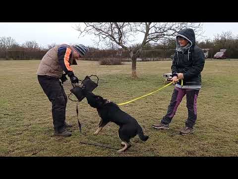 Orrnela Orrylordblack  - Protection 12/2021