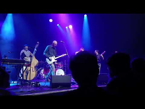 THE STING-RAYS - Escalator (Live 2025, London)