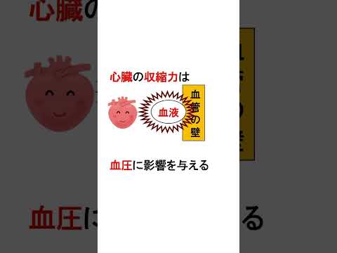 心原性ショックについて詳しく解説