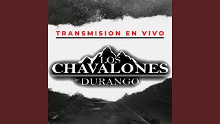 Cada dia mas (En Vivo)