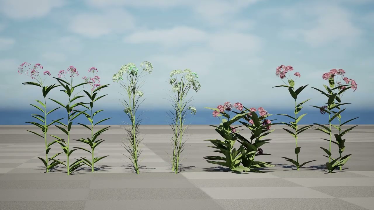 North American Milkweed Collection 3D Model