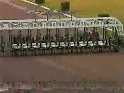 1988 Florida Derby - Brian's Time