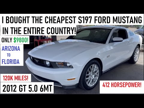 Thumbnail for Buying the CHEAPEST S197 Ford Mustang 5.0 6MT in the COUNTRY! Best/Worst Road Trip Ever??? AZ to FL! by Lamborghini, Ferrari, United States, rall, BMW, Ford Mustang, Car, O.S.C.A.