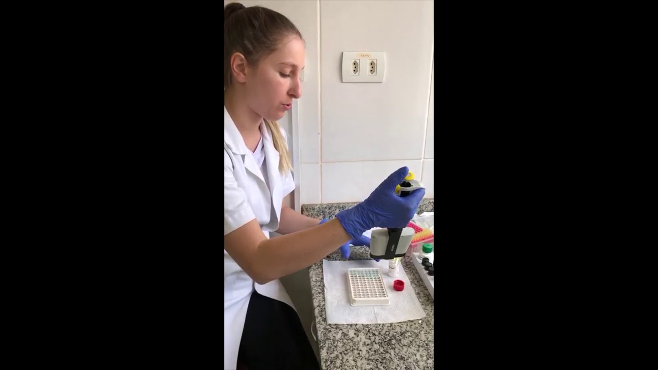 Análise de Micotoxinas   Aflatoxinas