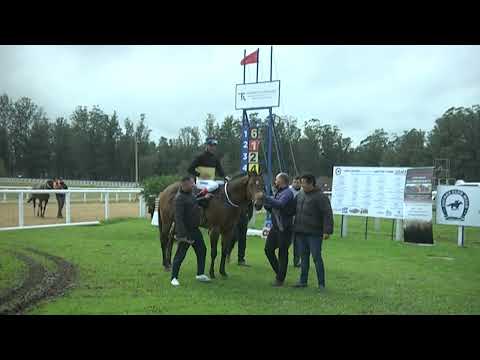 07/08/2022 – Hipodromo Melo – Carr 1 – CUARTO DE MILLA - CENTRO OBRERO DE TUPAMBAÉ