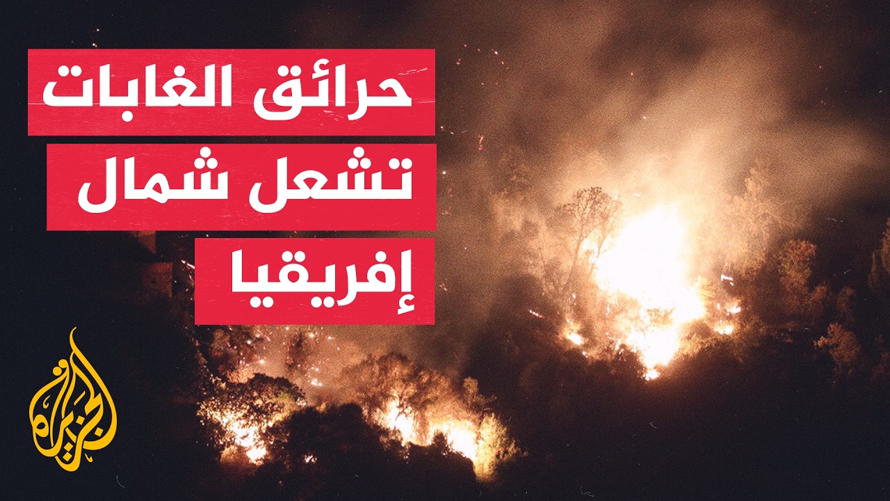 تونس والجزائر تواجهان موجة حرائق واسعة وعمليات الإخماد مستمرة