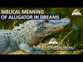 Biblical Meaning of ALLIGATOR in Dream - Dreaming About Alligators (Crocodile)