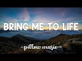 Bring Me To Life Evanescence Feat Paul McCoy Lyrics