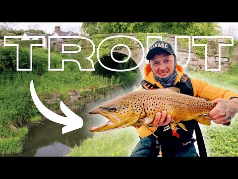 How to Catch Wild Trout!