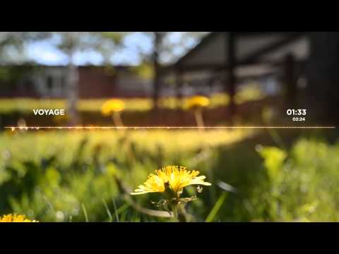 download lagu mp3 mp4 Royalty Music Song Mp3 Free Download, download mp3 Royalty Music Song Mp3 Free Download free download, download mp3 Royalty Music Song Mp3 Free Download