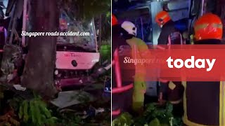 54-year-old SBS Transit driver dies after crashing empty bus into tree