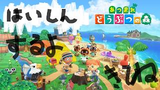 NoisNote島にみんな『あつまれ どうぶつの森』【配信】92