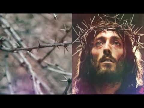 17. Hora: "Efectos de la corona de espinas de Jesús".