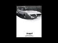 Paul Brown- Angel