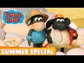 Timmy Time Summer Special Seaside Rescue