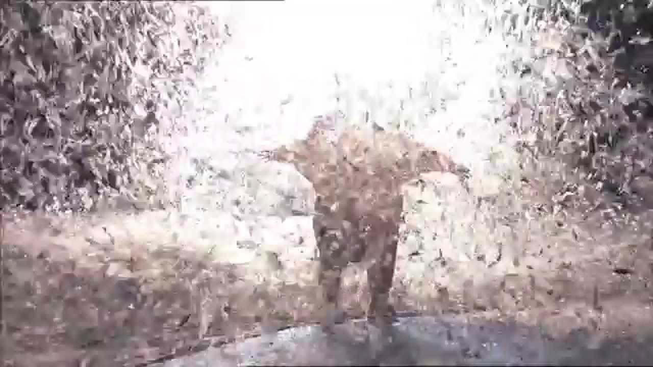 Slava's Snowshow - New Official Trailer [HD]